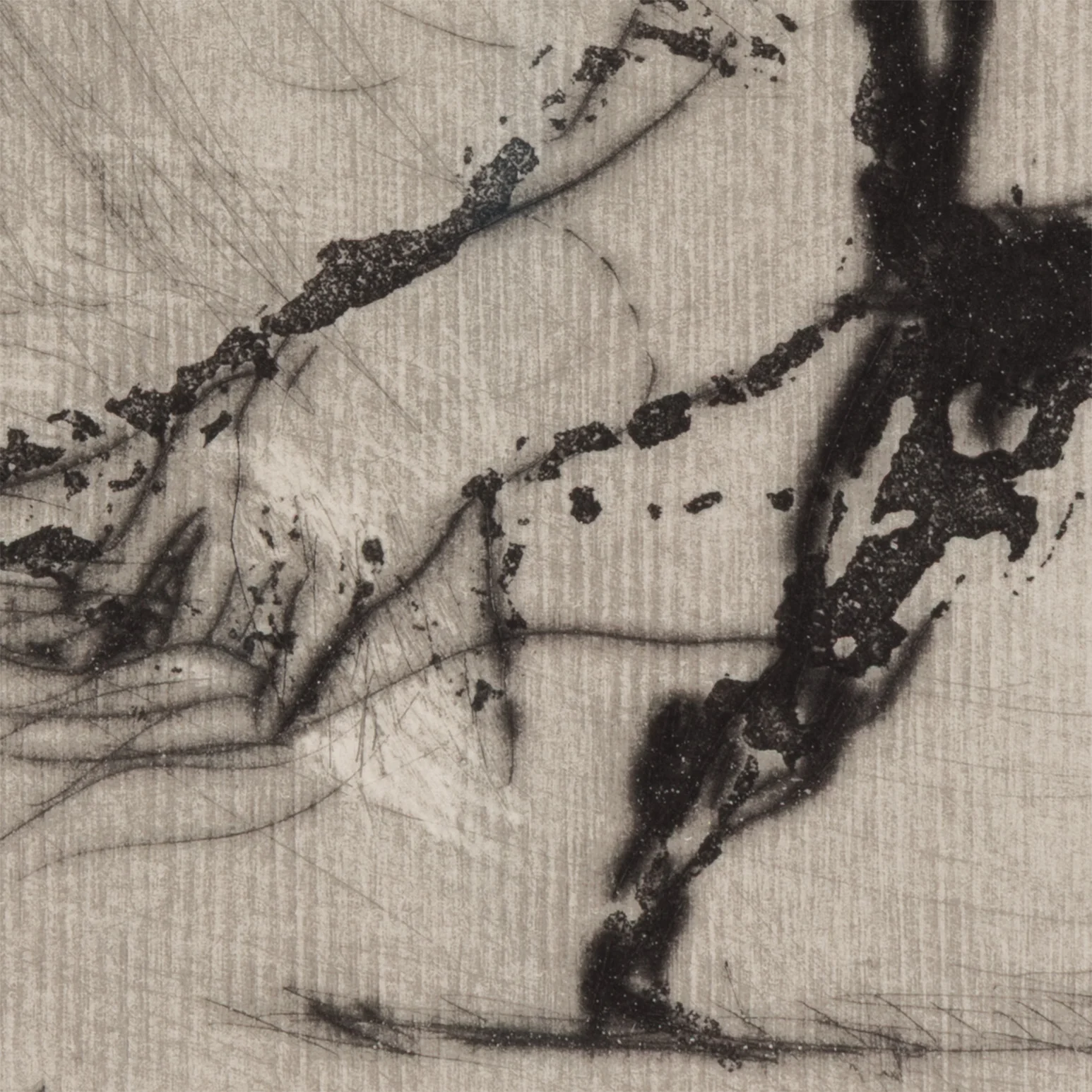 WILLIAM KENTRIDGE “NOSE #1" ETCHING, 2007 - Image 11
