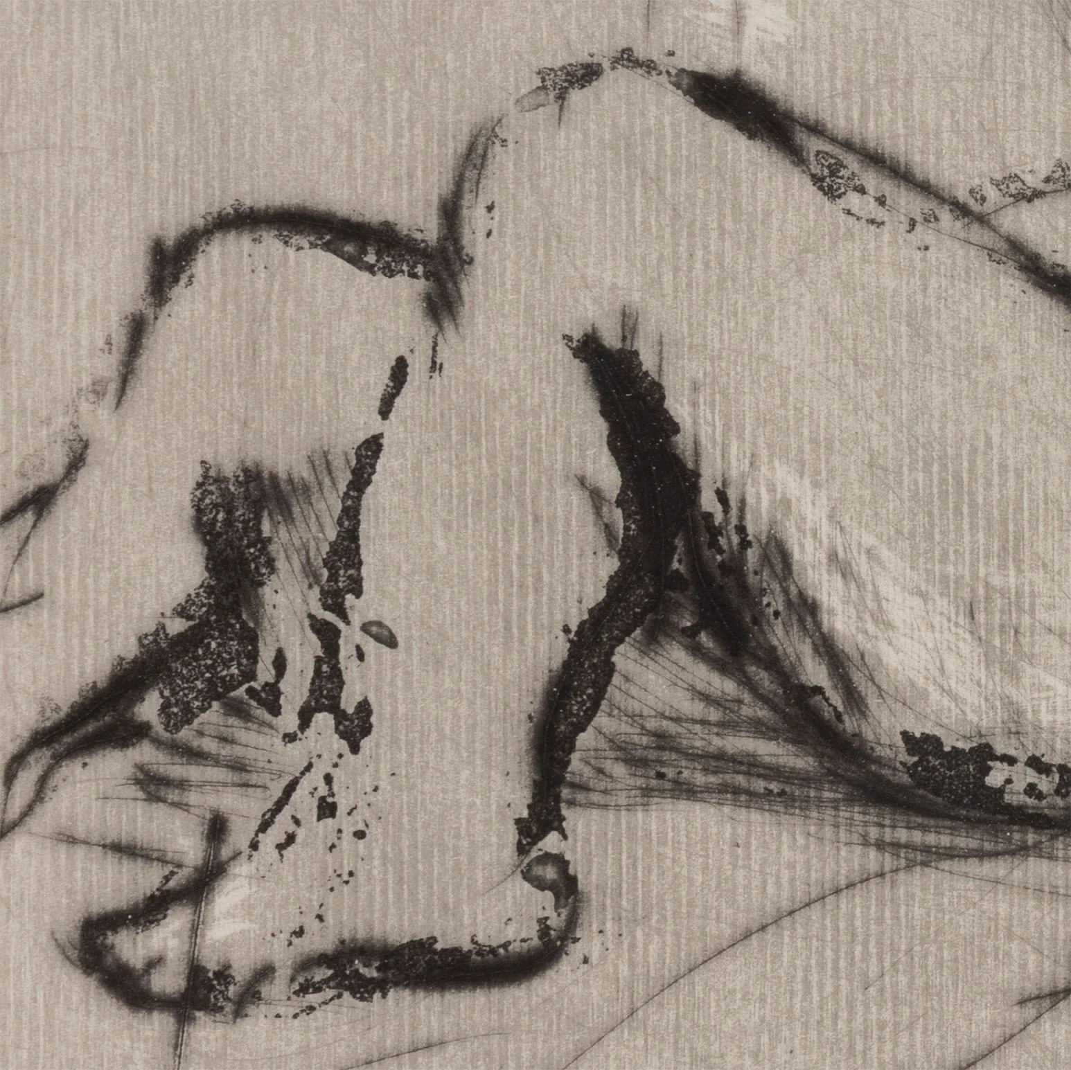 WILLIAM KENTRIDGE “NOSE #1" ETCHING, 2007 - Image 12