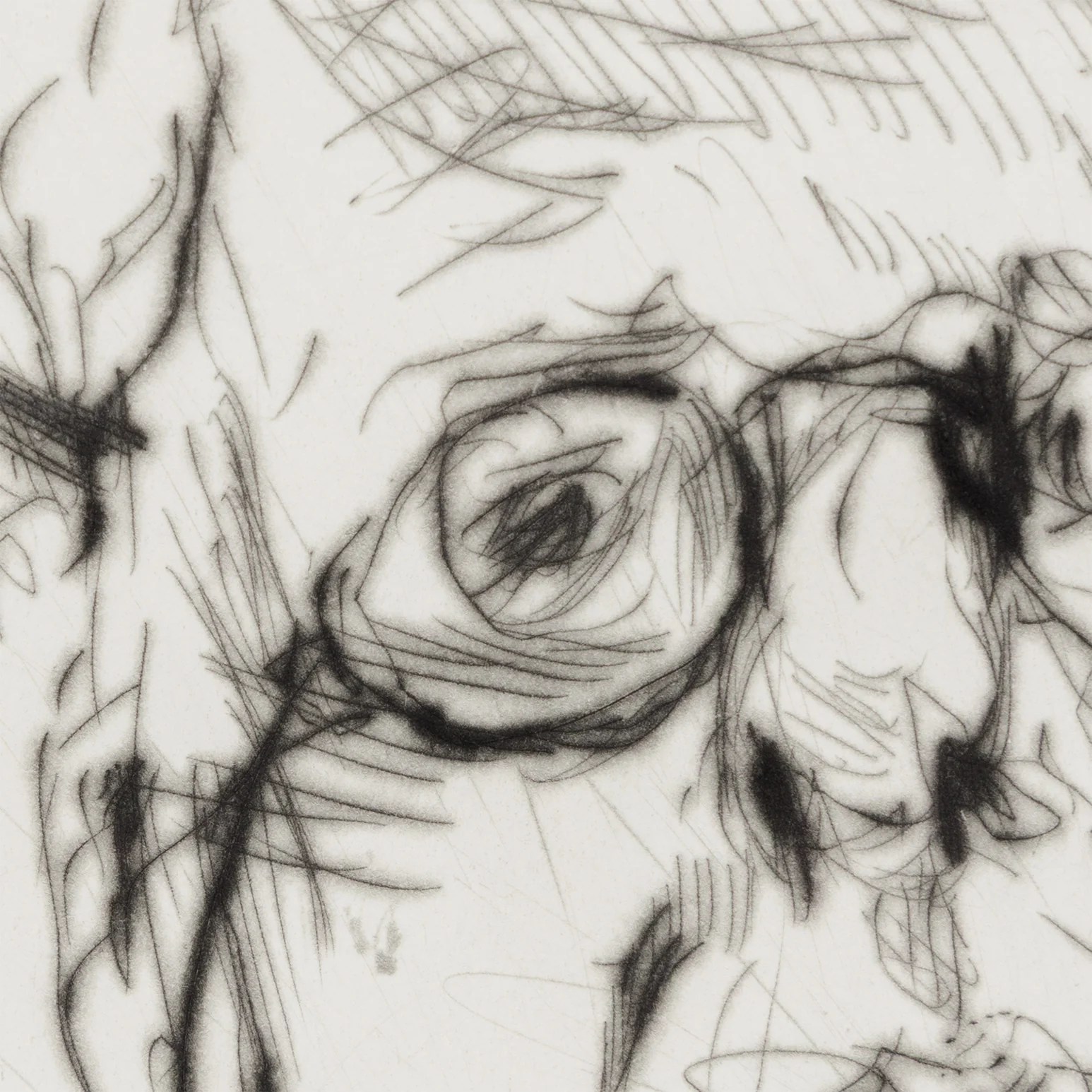 WILLIAM KENTRIDGE “SELF PORTRAIT” DRYPOINT, 2010-11 - Image 10