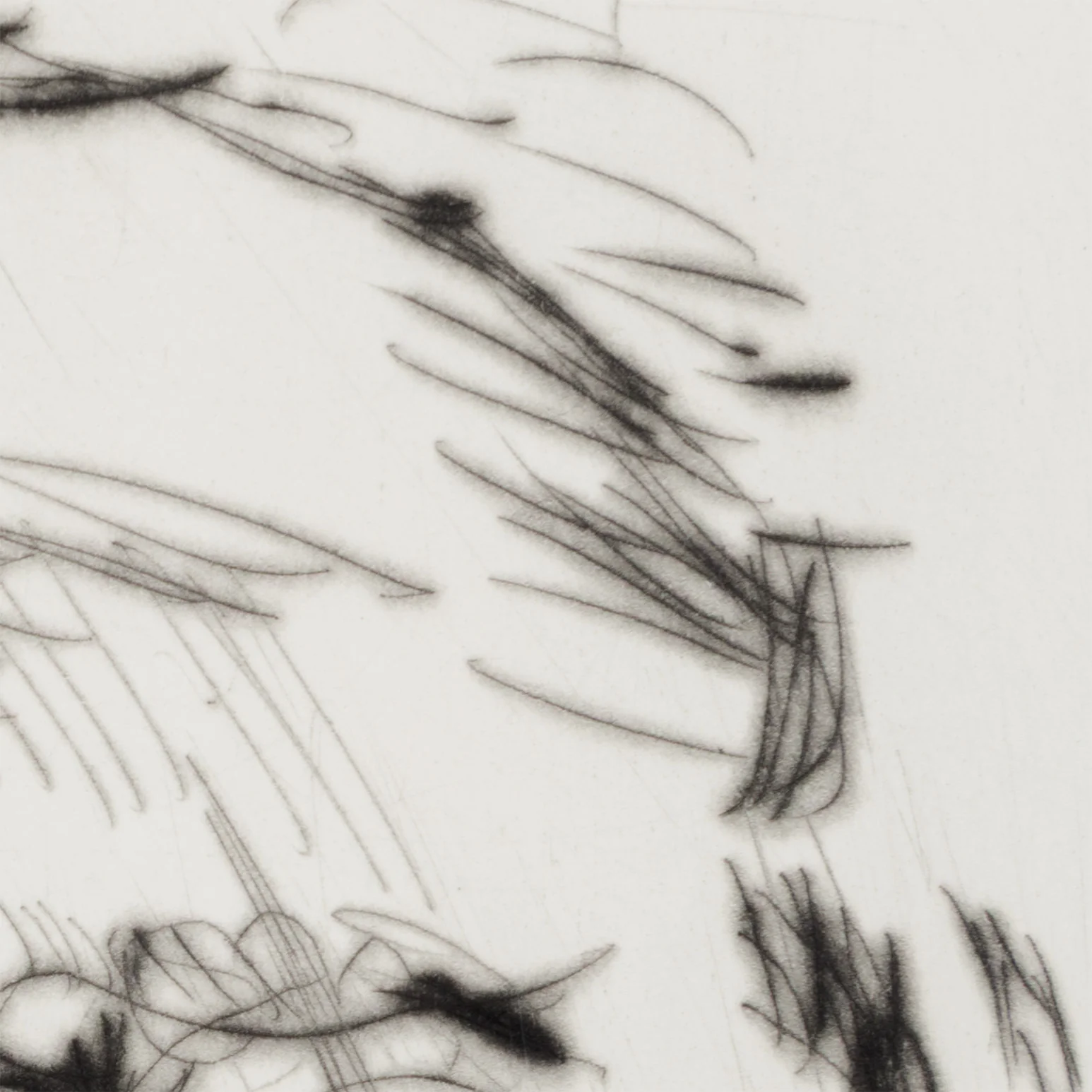 WILLIAM KENTRIDGE “SELF PORTRAIT” DRYPOINT, 2010-11 - Image 13