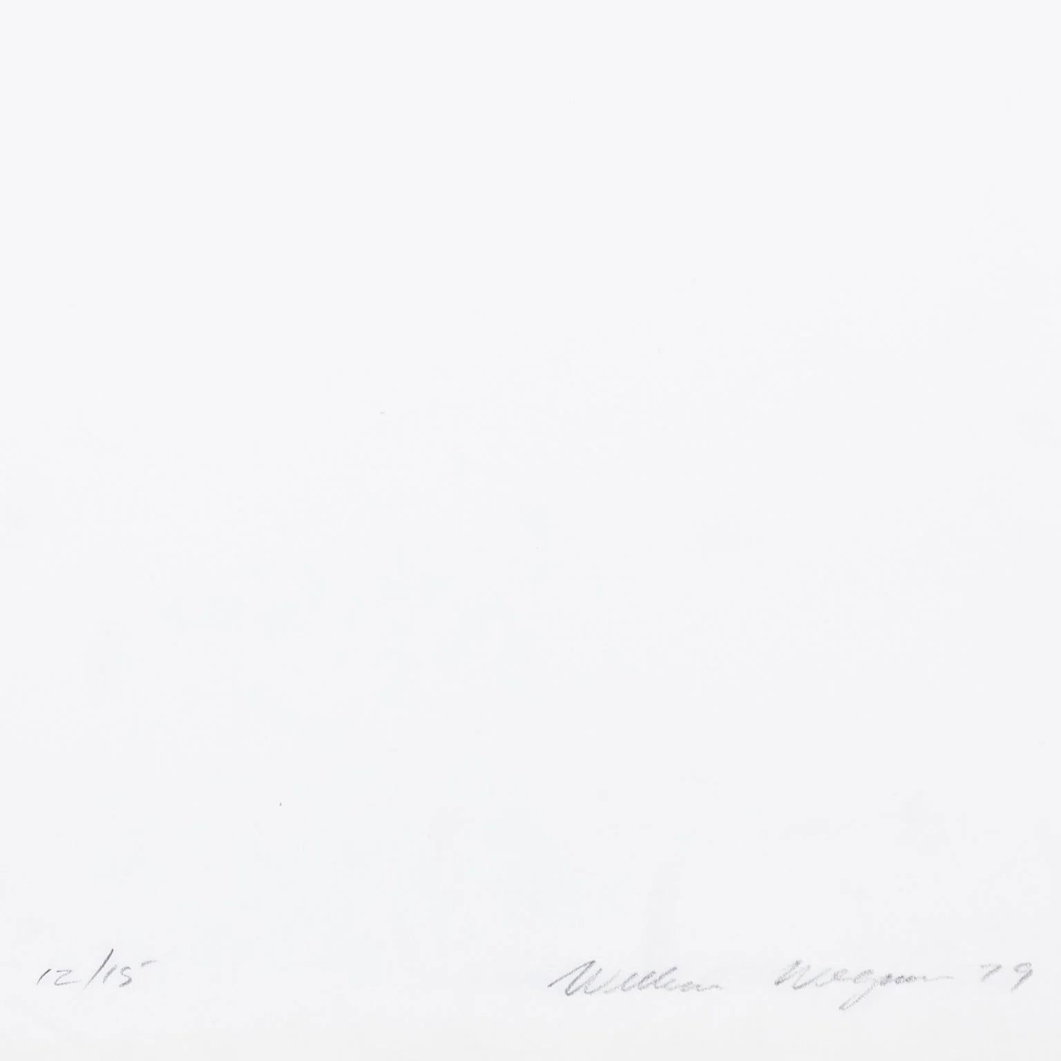 WILLIAM WEGMAN "UNTITLED" 1979 - Image 3