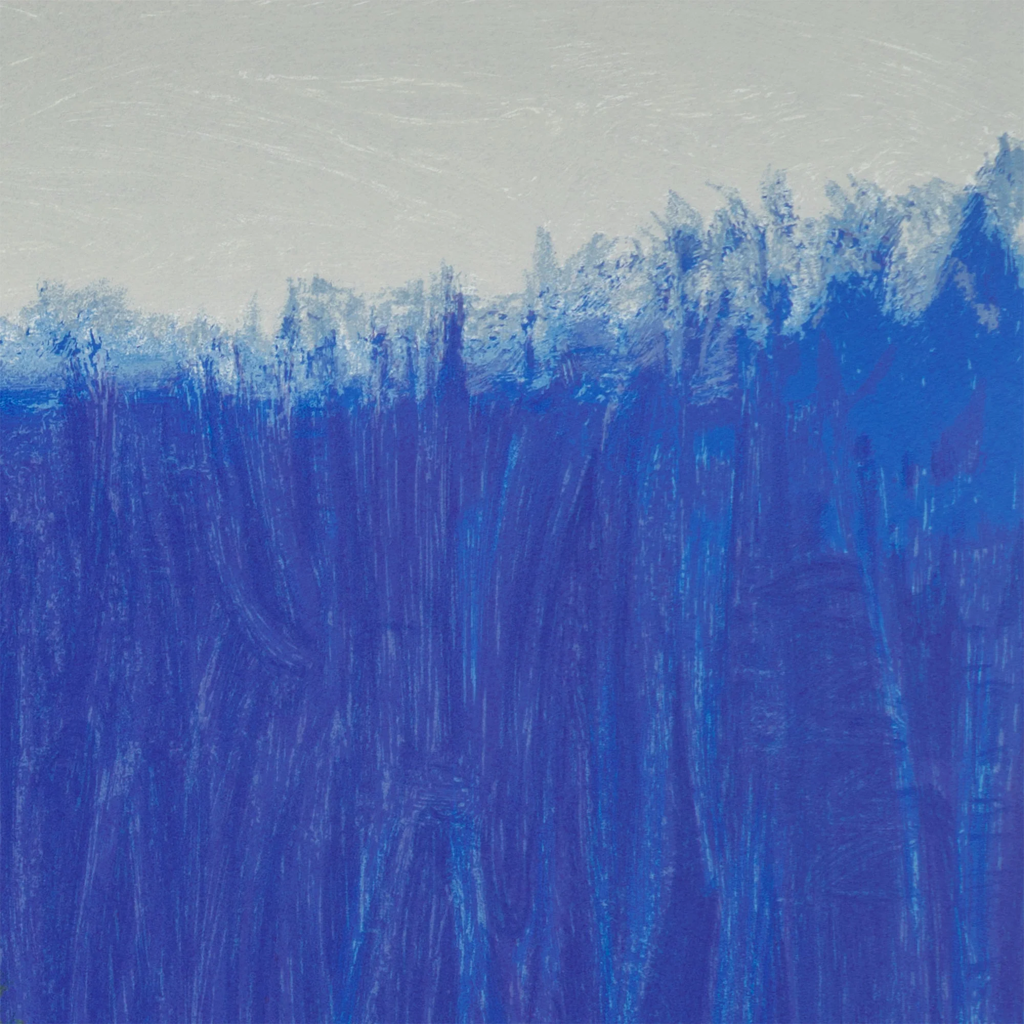 WOLF KAHN "DARK PINES" SCREENPRINT, 2001 - Image 9