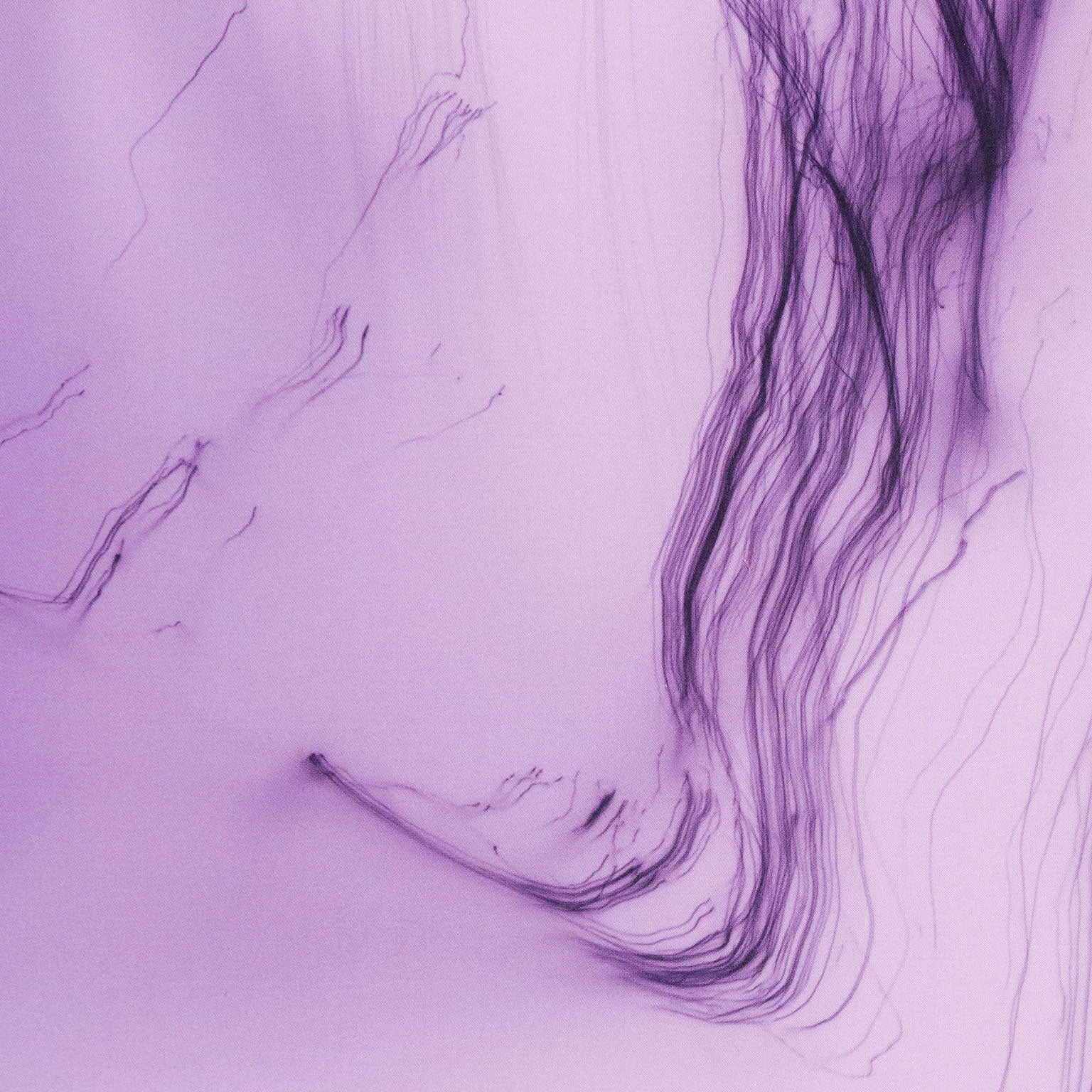 WOLFGANG TILLMANS "IT'S ONLY LOVE GIVE IT AWAY" 2018 - Image 10