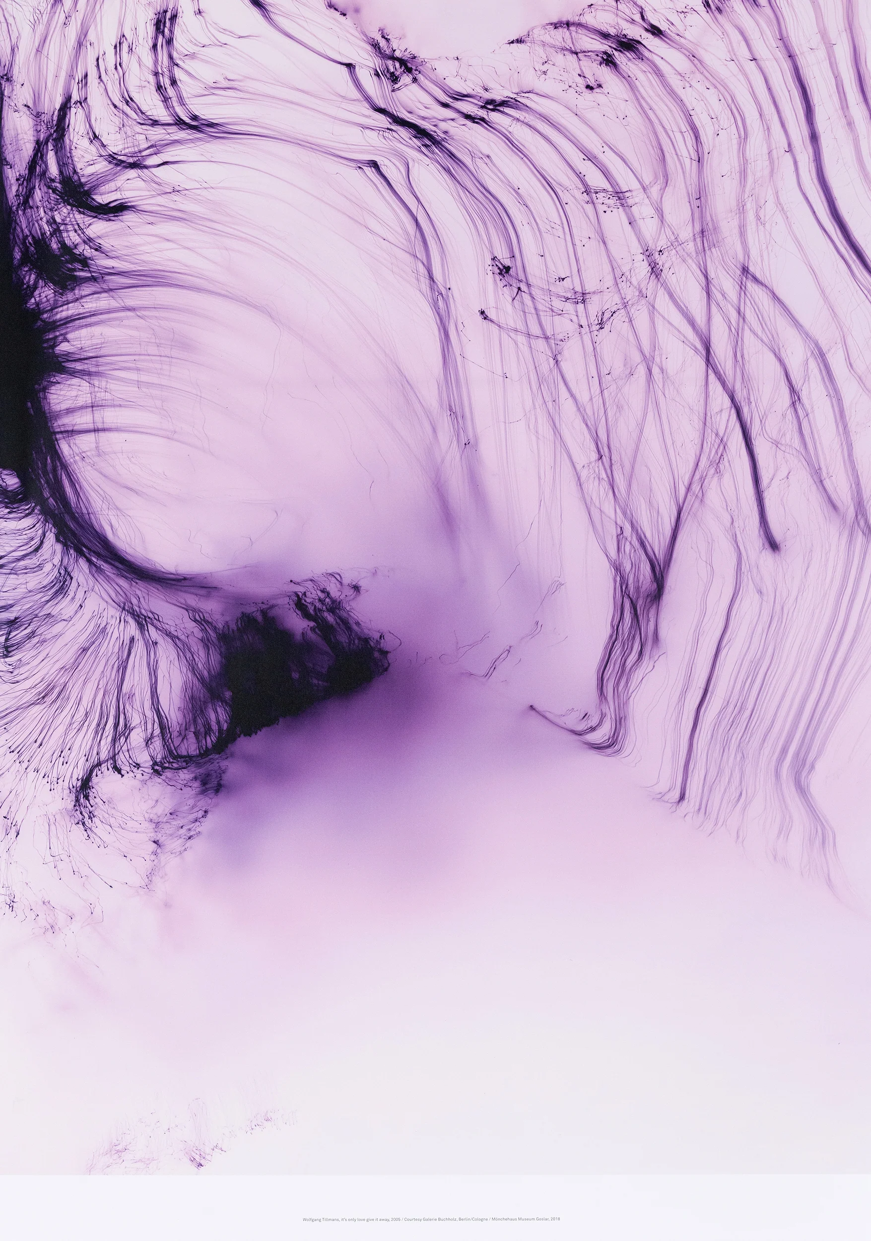 WOLFGANG TILLMANS "IT'S ONLY LOVE GIVE IT AWAY" 2018 - Image 13