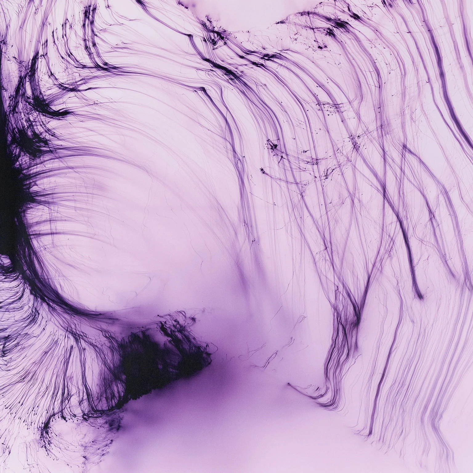 WOLFGANG TILLMANS "IT'S ONLY LOVE GIVE IT AWAY" 2018 - Image 3