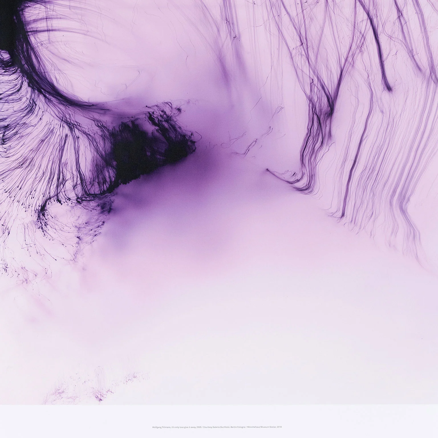 WOLFGANG TILLMANS "IT'S ONLY LOVE GIVE IT AWAY" 2018 - Image 4