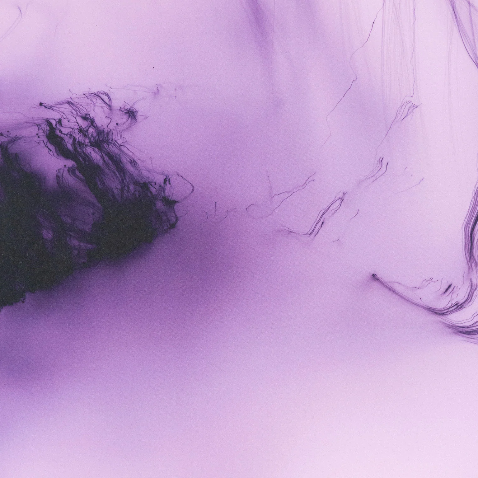 WOLFGANG TILLMANS "IT'S ONLY LOVE GIVE IT AWAY" 2018 - Image 6