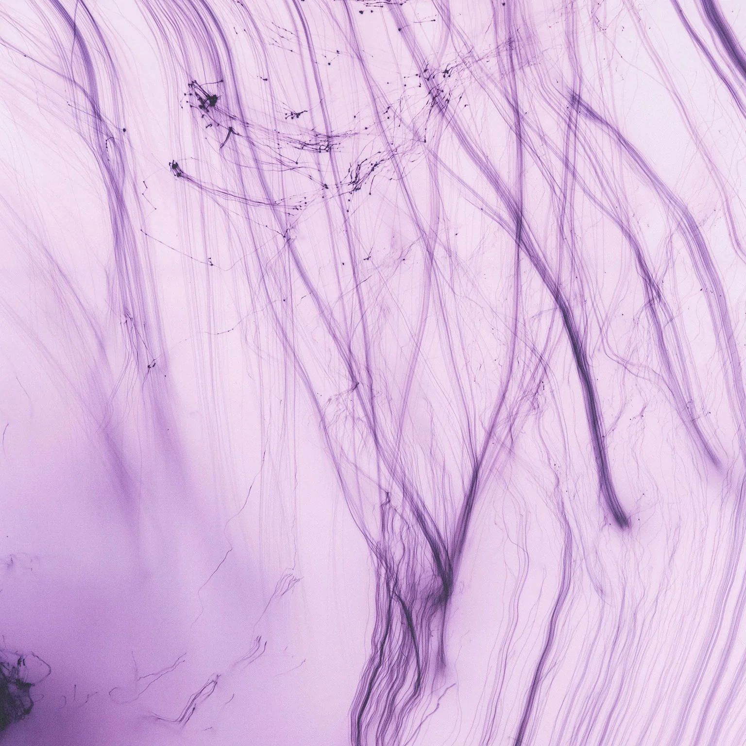 WOLFGANG TILLMANS "IT'S ONLY LOVE GIVE IT AWAY" 2018 - Image 7
