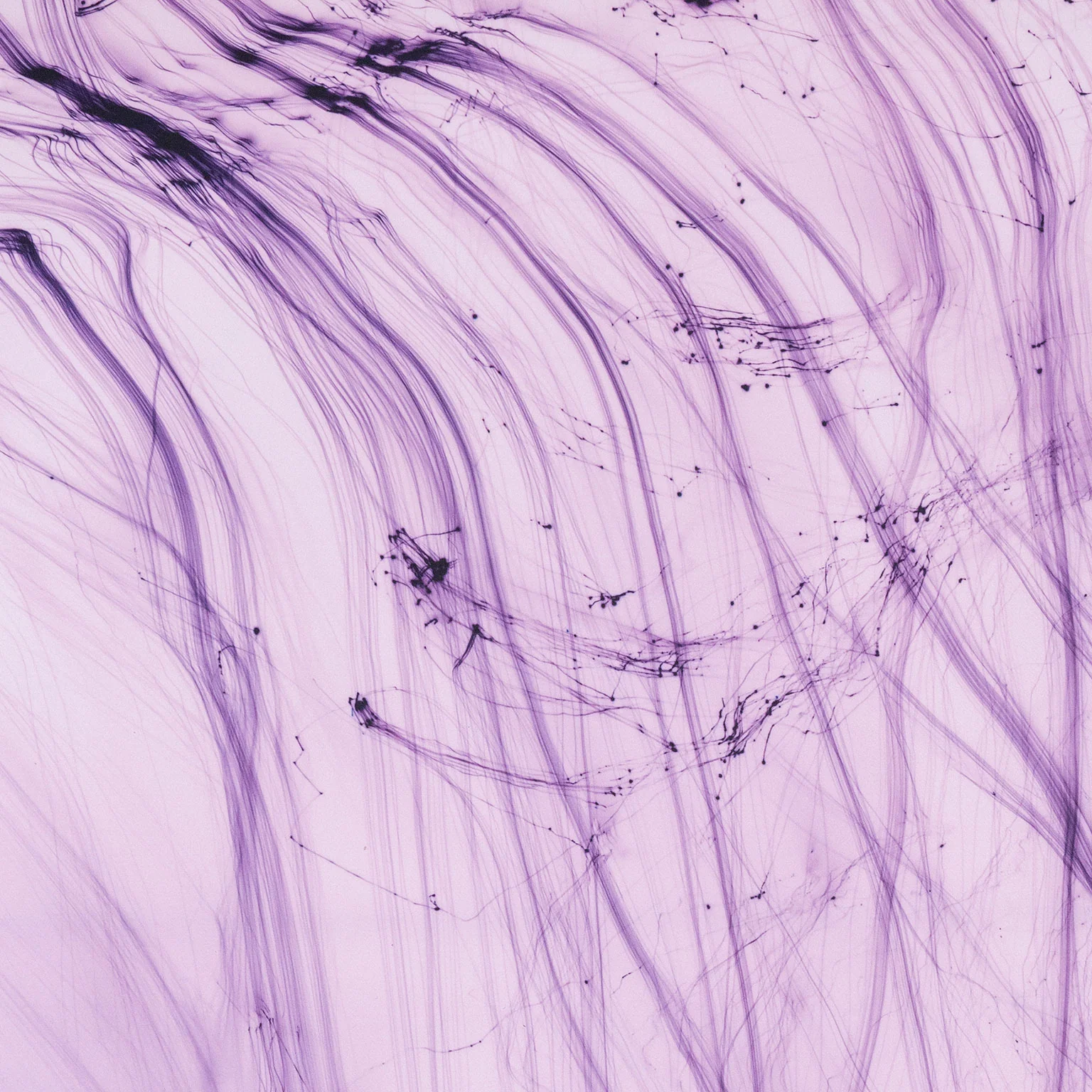 WOLFGANG TILLMANS "IT'S ONLY LOVE GIVE IT AWAY" 2018 - Image 8