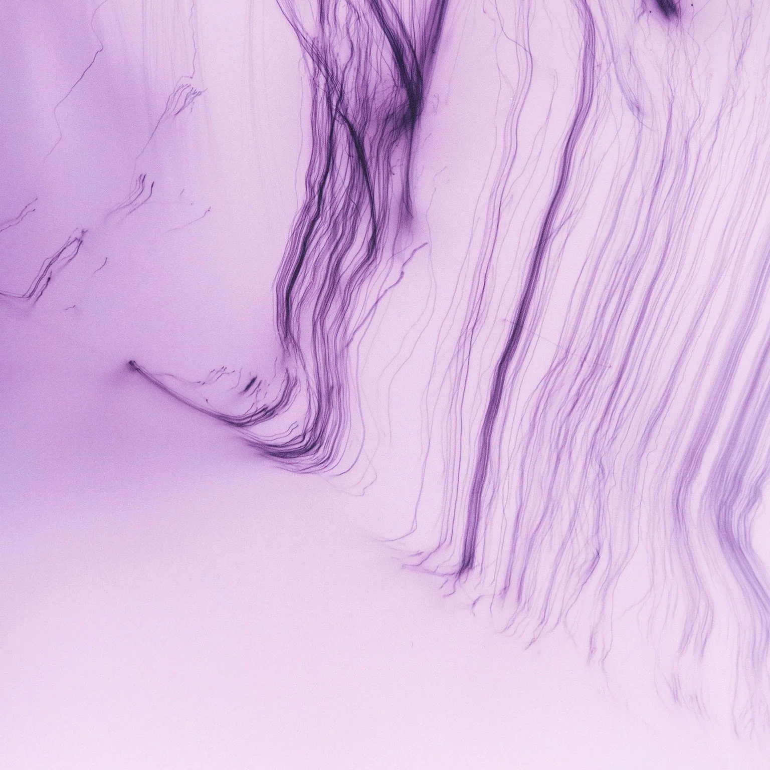WOLFGANG TILLMANS "IT'S ONLY LOVE GIVE IT AWAY" 2018 - Image 9